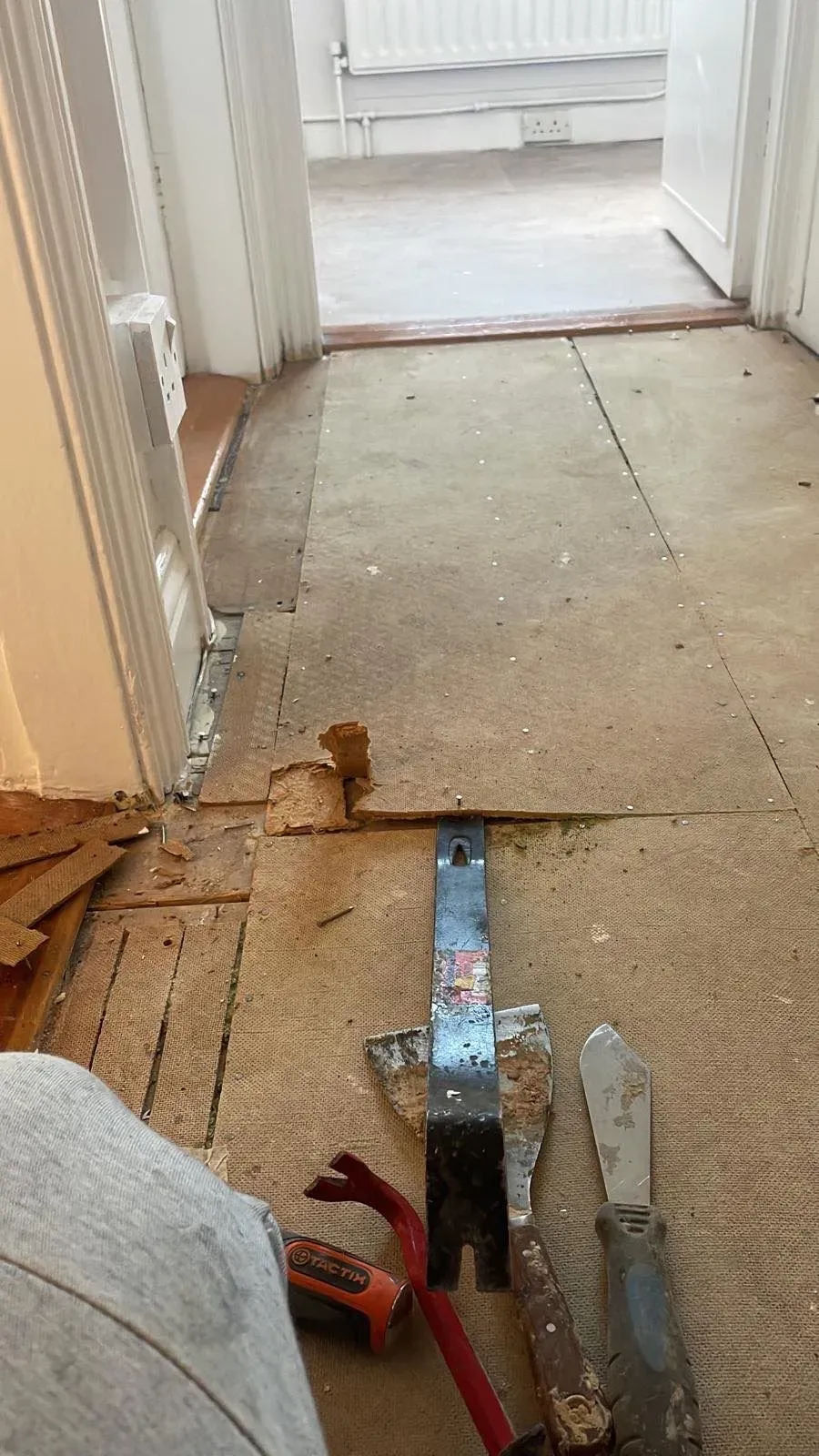 Carpet & Floor removal Image